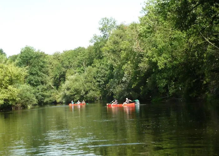 Daire Schulze Stadtilm